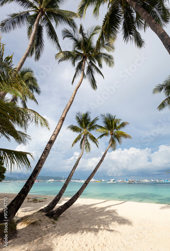 Fototapeta Naklejka Na Ścianę i Meble -  Coconut palms on tropical beach