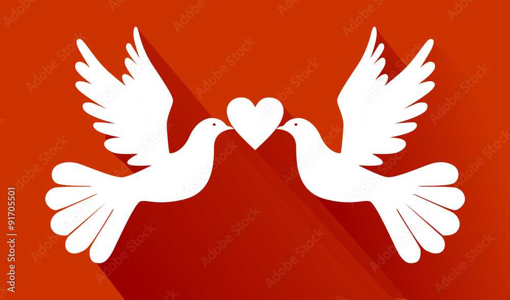 Obraz premium love pigeons