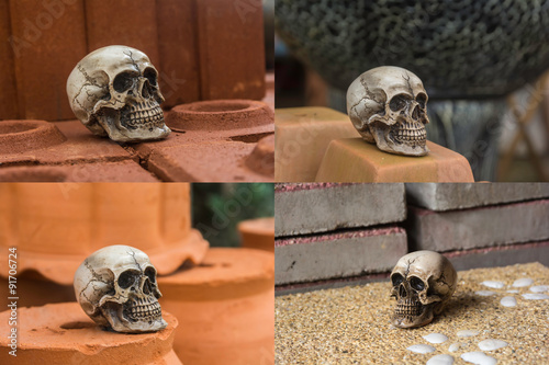 skull or skeleton of human photography