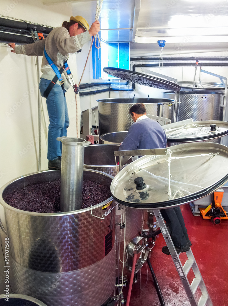 Vinification