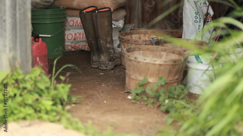 Wallpaper Mural A view of a gardening shed with rubber boots, baskets and supplies. Torontodigital.ca