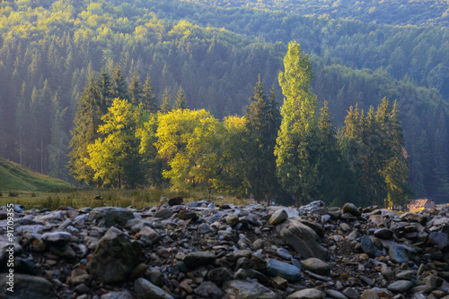 autumn beginning in Carpathian Mountains photo