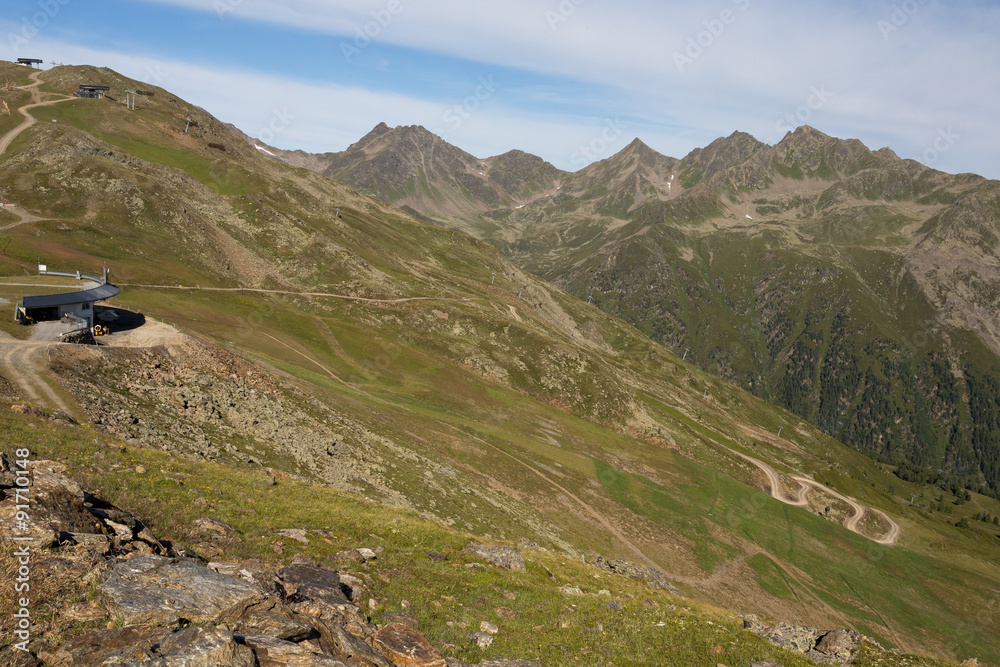 Fototapeta premium Alpage, herbe et vallée
