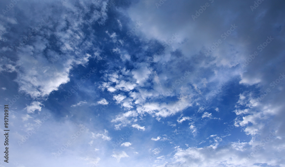 Fototapeta premium blue sky with cloud closeup