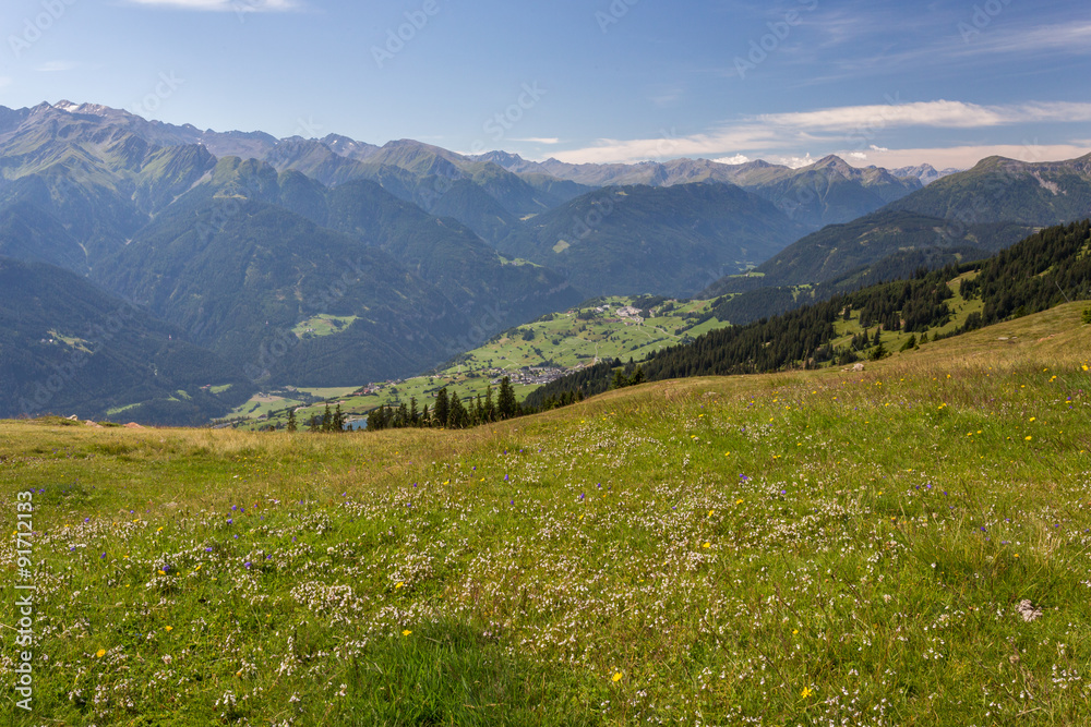 Alpage, herbe et vallée