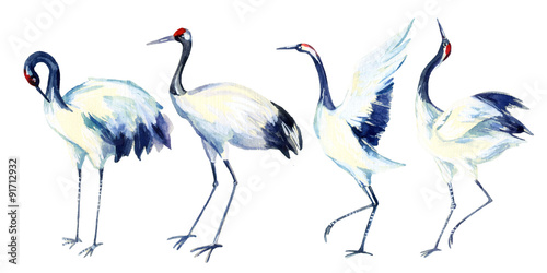Obraz na płótnie Watercolor asian crane bird set