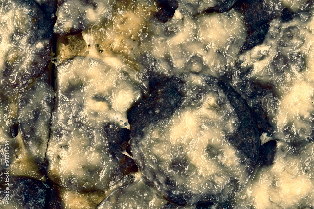 Moldy pizza as background Moldy pizza as background