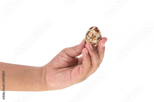 Hand holding quail egg isolated on white background