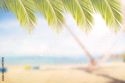 Fototapeta Naklejka Na Ścianę i Meble -  Abstract blur and soft background of sea sand beach with coconut leave frame