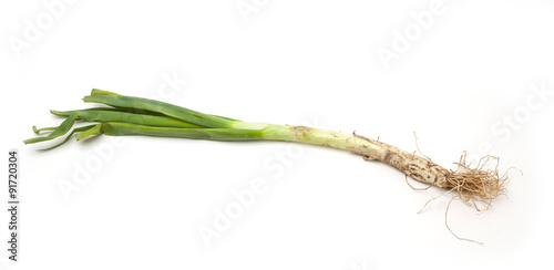 Calcots, a typical vegetable from the Catalonia region in Spain.