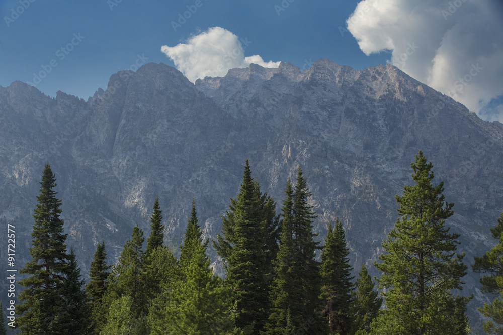 Teton Mountains, blue sky and green pines, Jackson Hole, Wyoming