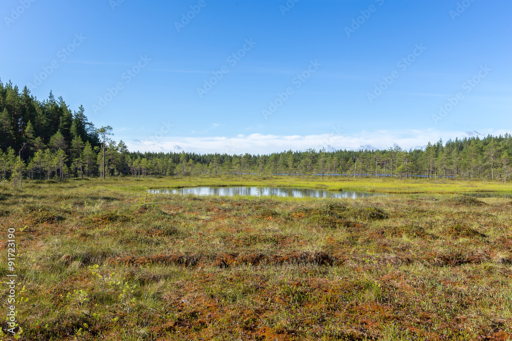 Obraz premium National park