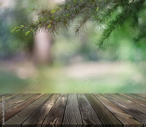 Wooden platform with park as a background