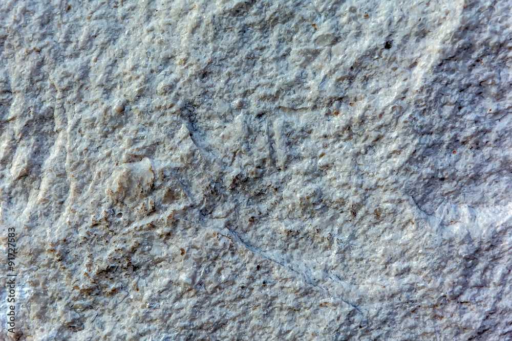 Fototapeta premium Grey stone background