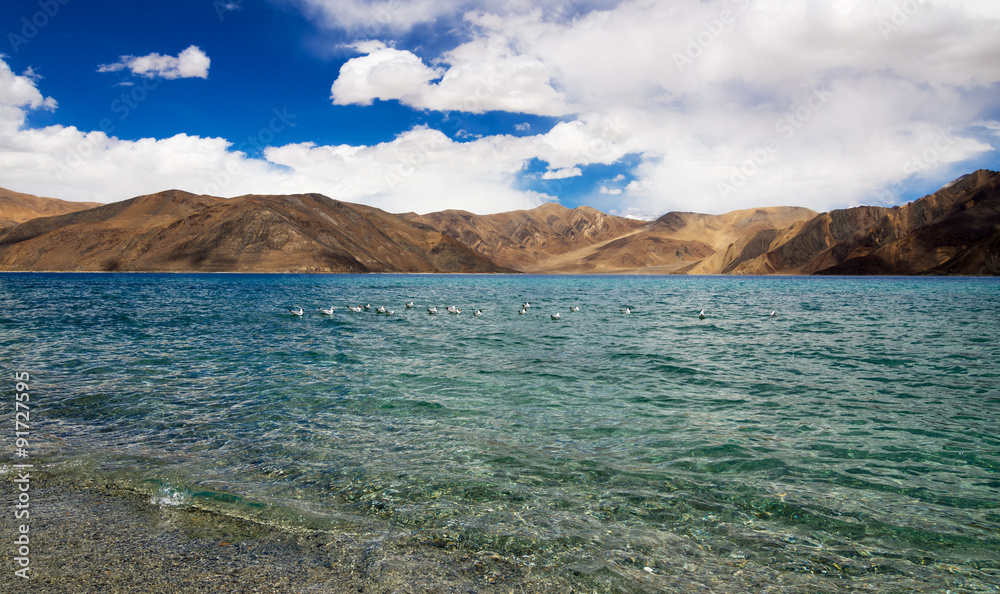 Pangong tso Lake with Mountains in background
