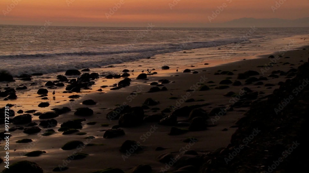 Birds graze along the shore at dusk. Birds graze along the shore at dusk.