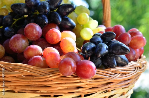 Variety of grapes in a basket
