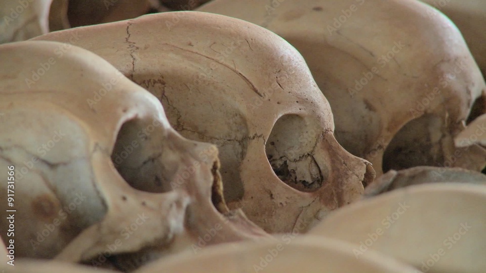 Close up of skulls on display in a church dedicated to the Rwandan genocide. Close up of skulls on display in a church dedicated to the Rwandan genocide.