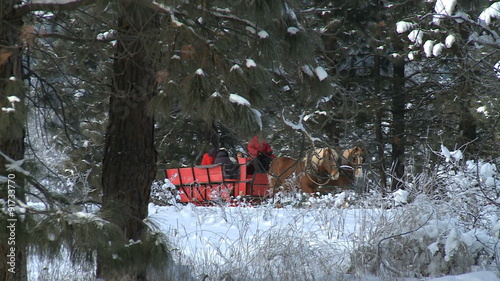 MCU sleigh past trees, ZM out to WS