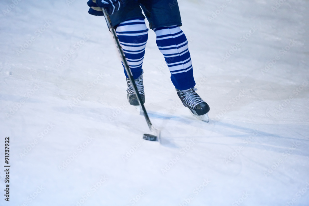 Obraz premium ice hockey player in action
