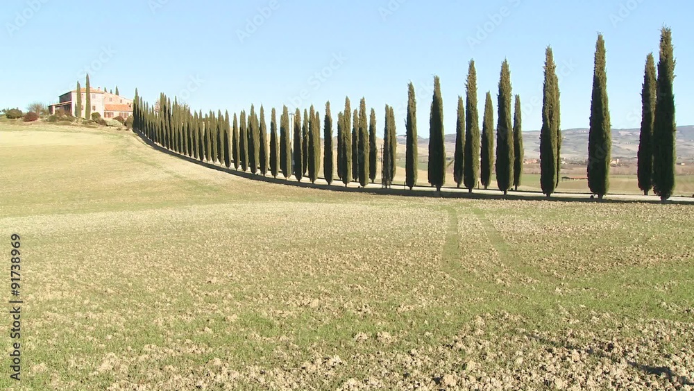 A wide shot of a farm villa with long rows of trees in Tuscany, Italy. A wide shot of a farm villa with long rows of trees in Tuscany, Italy.