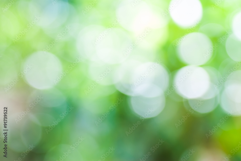 Green leaf with white bokeh abstract for bacground use Green leaf with white bokeh abstract for bacground use