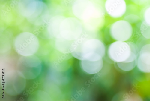 Green leaf with white bokeh abstract for bacground use