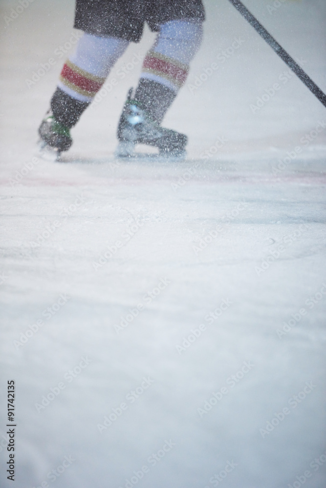 Obraz premium ice hockey player in action