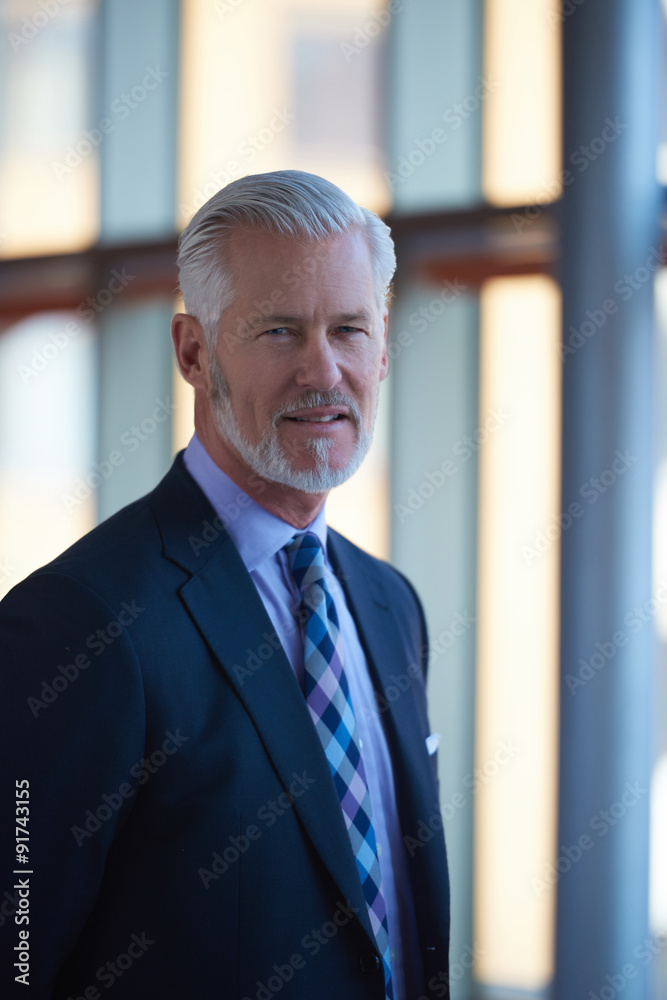 Naklejka premium senior business man portrait