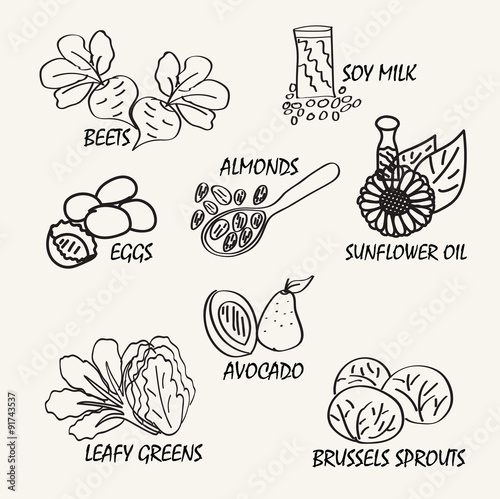 Line drawing natural food. Vector hand drawing food elements for