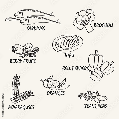 Food vector design. Line drawing natural food. Vector hand drawi