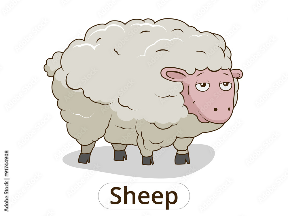 Obraz premium Sheep animal cartoon illustration for children