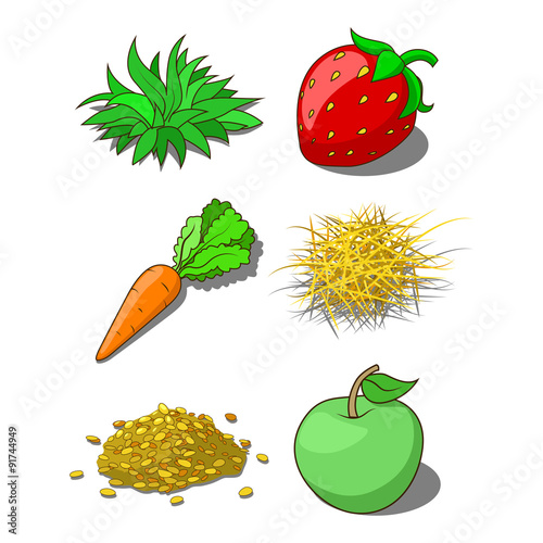 Animals food corn grass hay carrot vector illustration