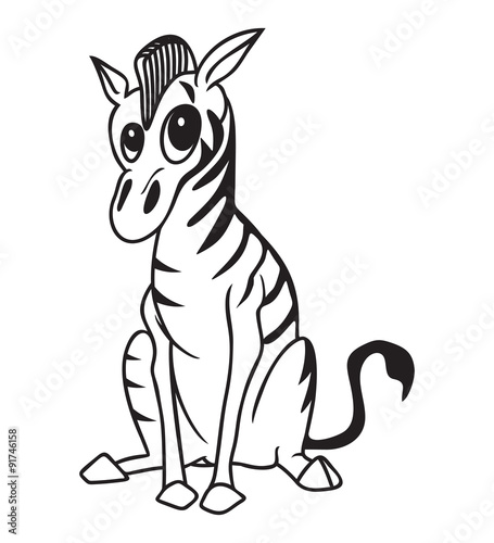 Zebra