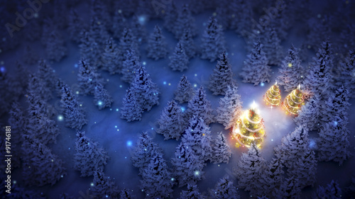 illuminated christmas trees in pine woods at night, aerial view photo