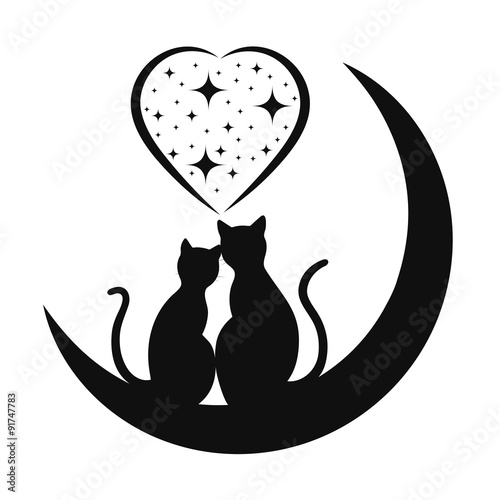 cats in love