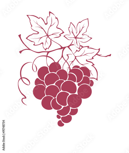Graphic illustration, design element - grapes in the shape of a heart