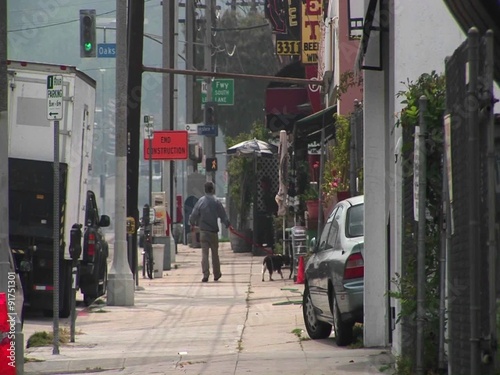 Wallpaper Mural A man walks his dog. Torontodigital.ca