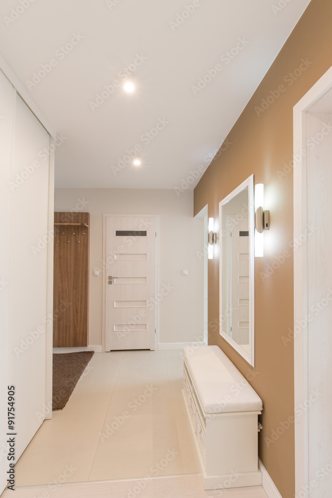 Luxury modern style anteroom. Luxury modern style anteroom.