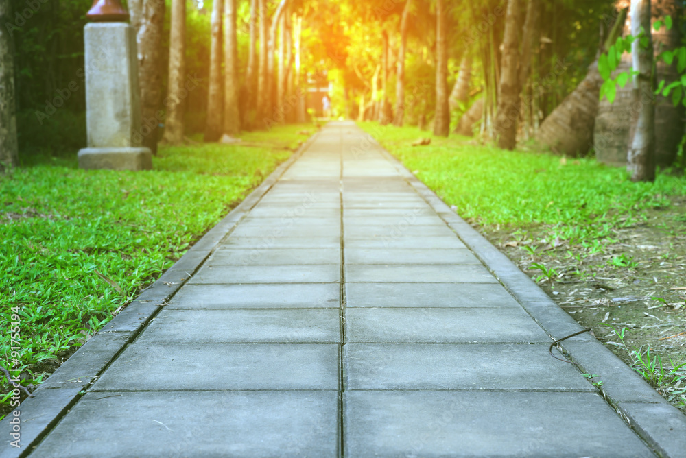 Obraz premium walk way in the park, vintage tone 