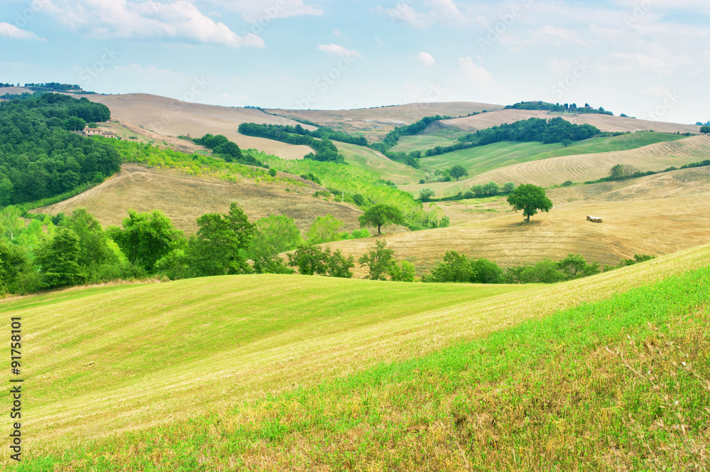 Rolling hills landscape in Tuscany, Italy. Rolling hills landscape in Tuscany, Italy.