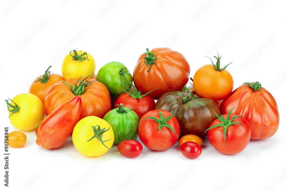 tomates multicolores sur fond blanc tomates multicolores sur fond blanc