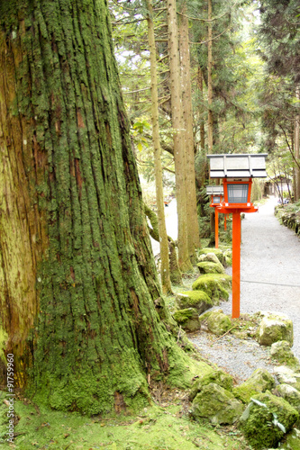 神社の参道