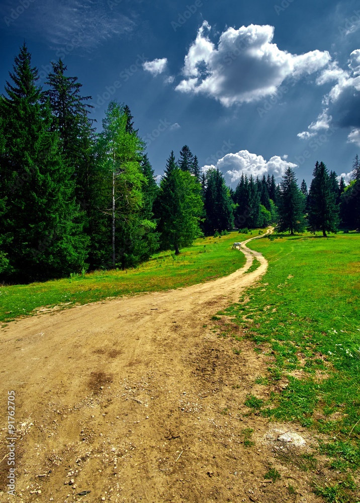 Fototapeta premium Mountain Road