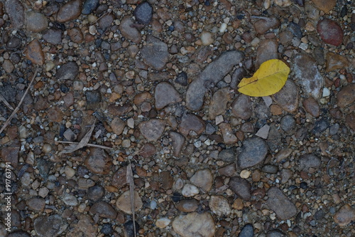Tablou pe pânză Pebble