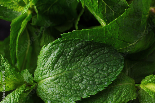 mint isolated on black background photo