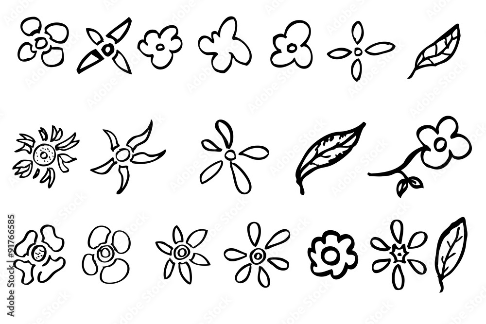 hand draw sketch of flowers
hand draw sketch of flowers