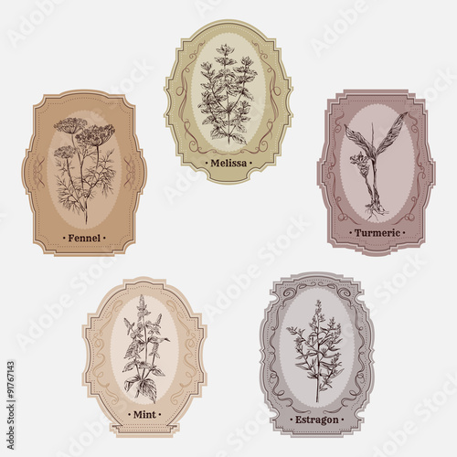 Collection of vintage storage labels with herbs and spices. Melissa, turmeric, estragon, mint, fennel. Retro hand drawn vector illustration