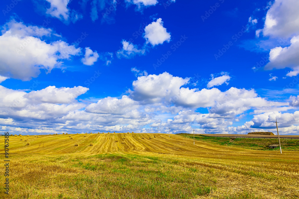 Fototapeta premium Yellow Round Straw Bales on Stubble Field