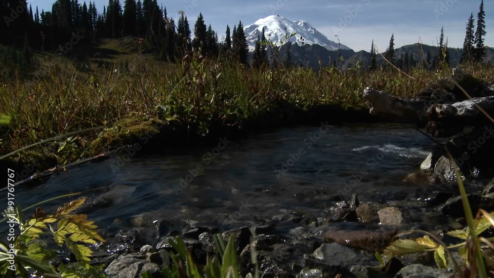 A beautiful small stream flows through the Cascade Mountain range. A beautiful small stream flows through the Cascade Mountain range.